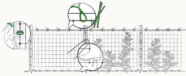 rede para o cultivo de ervilhas, feijões, tomates, pepinos, beringelas, pimentões, abobrinhas, aboboras e todos os vegetais de escalad