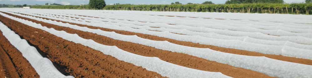 Tecido não tecido de proteção para culturas para proteger a colheita de quedas repentinas de temperatura