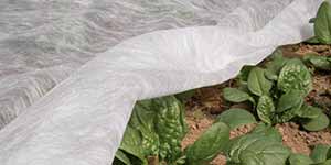 Tecido não tecido de proteção para culturas para proteger a colheita de quedas repentinas de temperatura